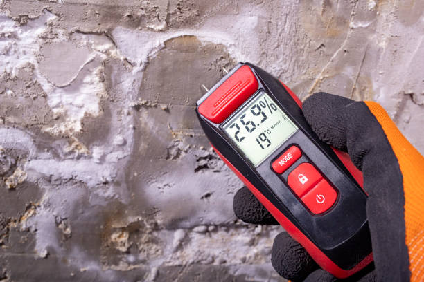 Best White Mold Remediation in Lookout Mountain, AL